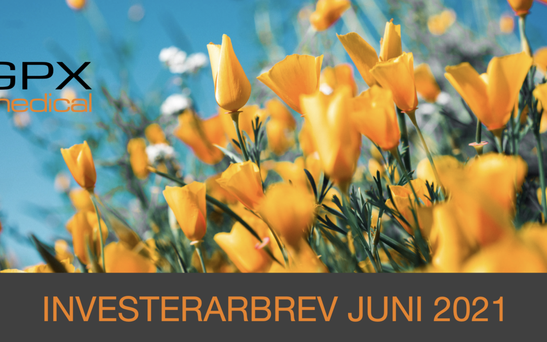 Investerarbrev juni 2021